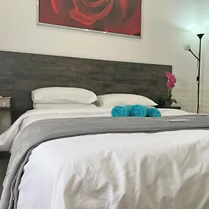 https://apollo-rooms.larnacahotels.org